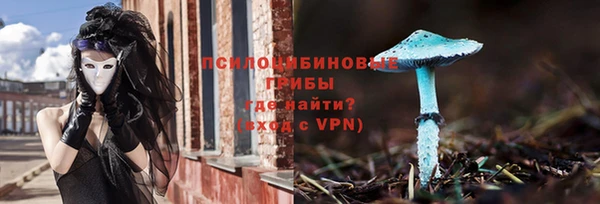 молекула духа Струнино