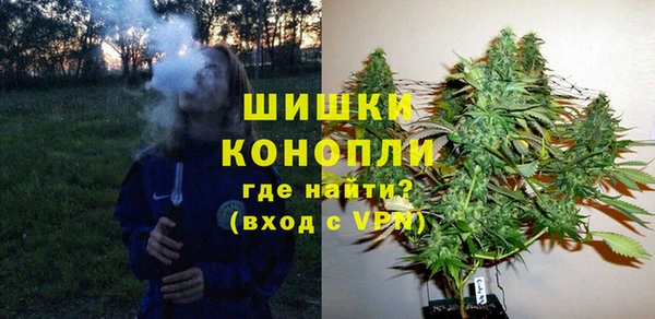 молекула духа Струнино