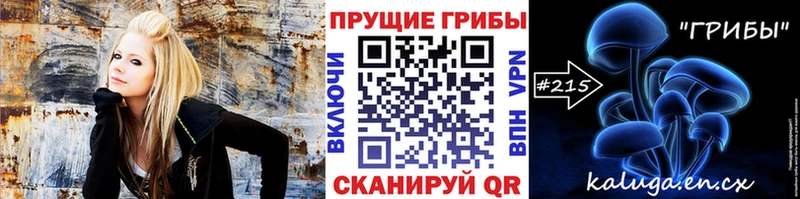 закладка  Туапсе  Галлюциногенные грибы Magic Shrooms 