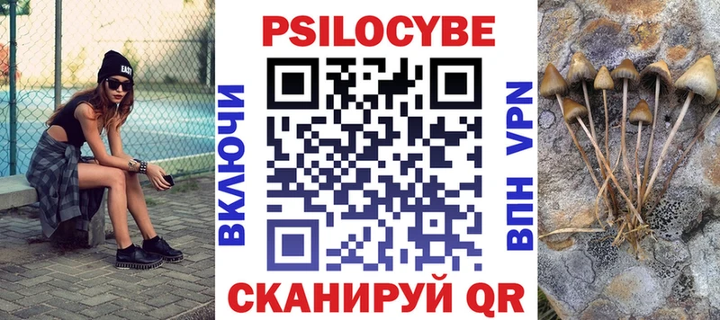 Галлюциногенные грибы Psilocybe Туапсе