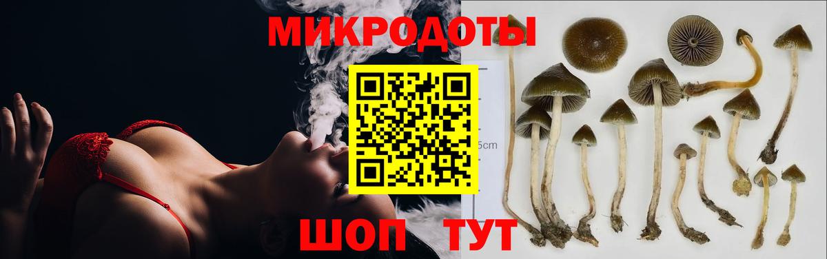 Галлюциногенные грибы MAGIC MUSHROOMS  купить наркотики сайты  Туапсе  Вход с VPN 
